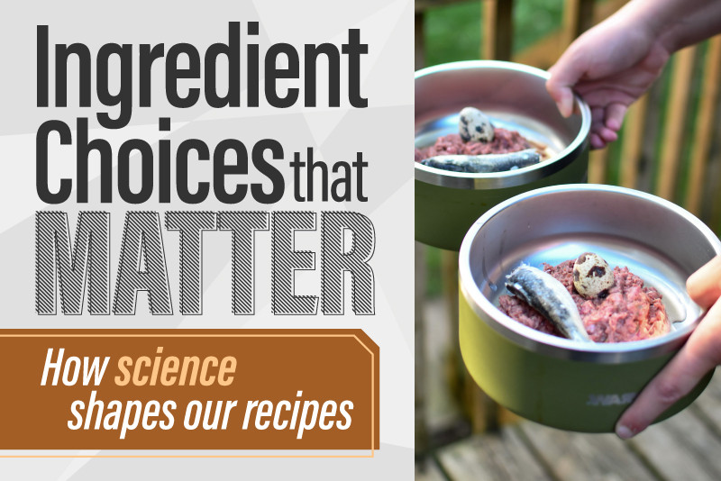 Ingredient Choices That Matter: How Science Shapes Our Recipes 