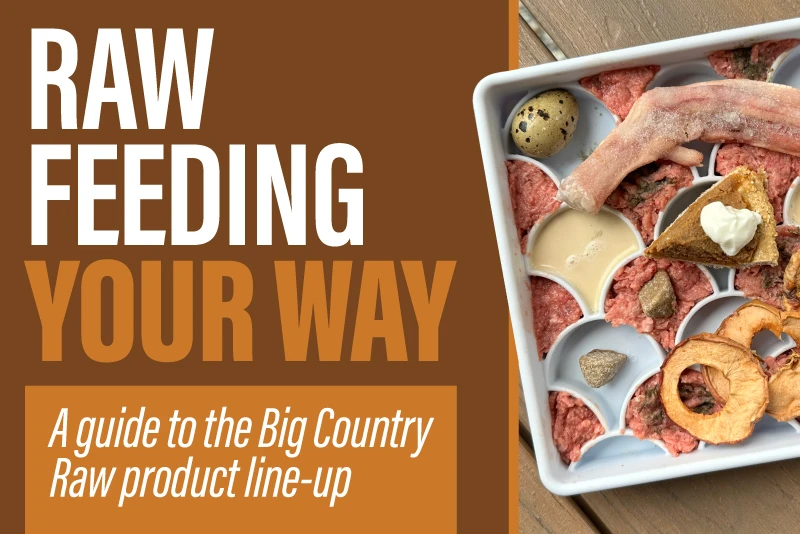 Raw Feeding, Your Way: A Guide to the Big Country Raw Product Line‑Up
