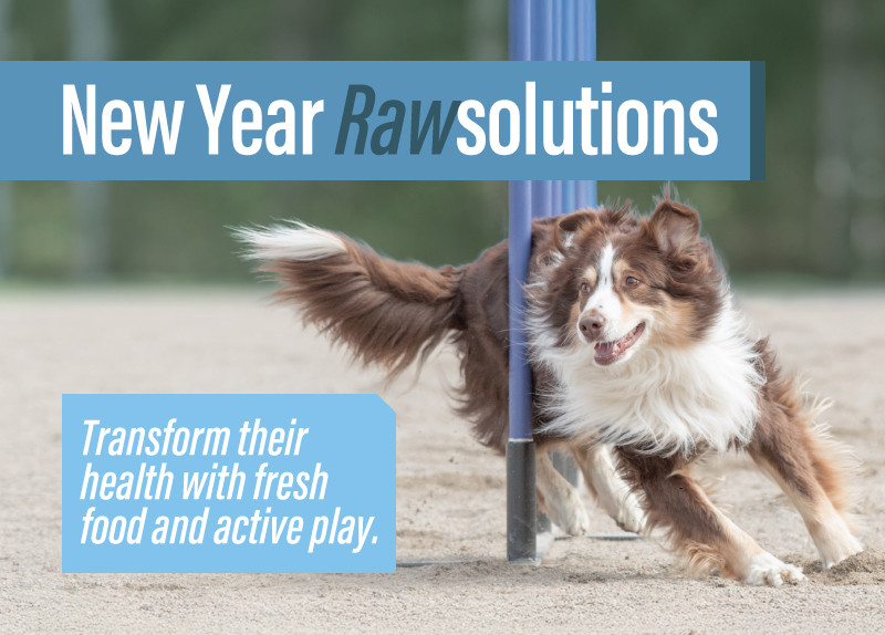 New Years Rawsolutions 