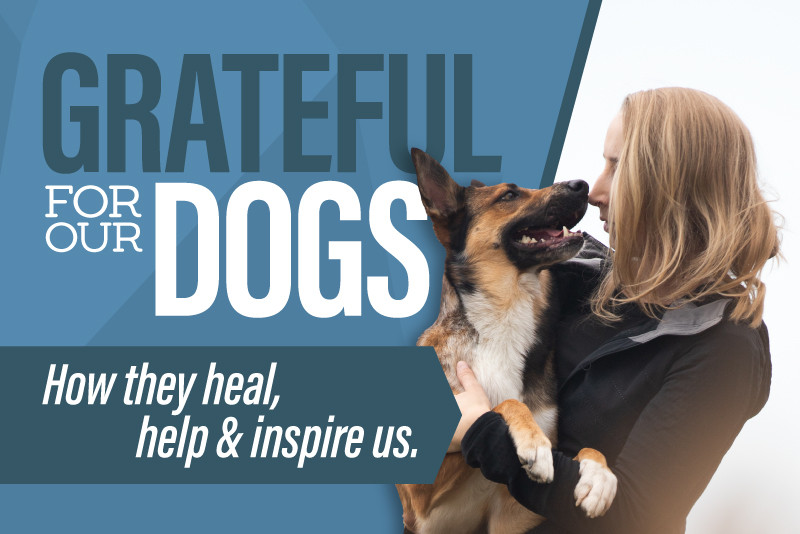Grateful for Our Dogs: How They Heal, Help, and Inspire Us