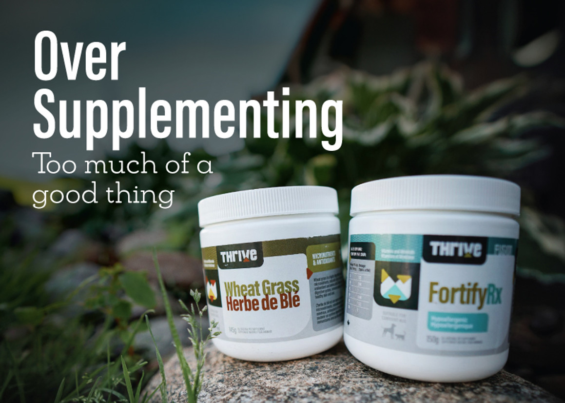 Over Supplementing Over Supplementing
