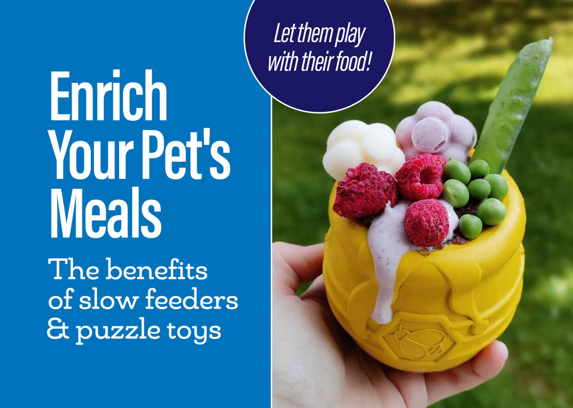 Enrichment Toys Enrichment Toys