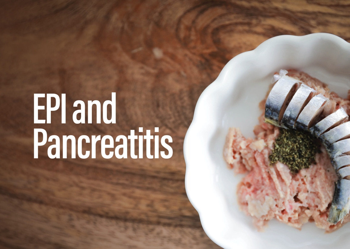 EPI and Pancreatitis