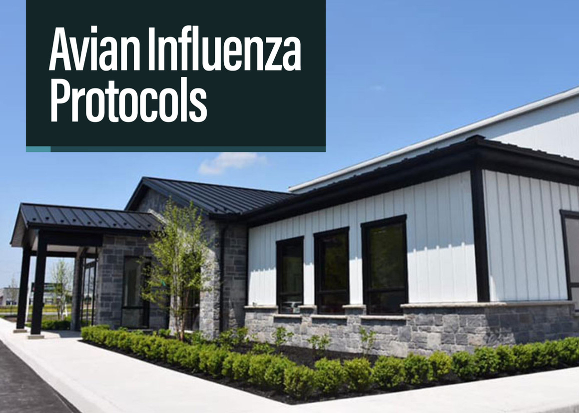 Avian Influenza Protocols Avian Influenza Protocols