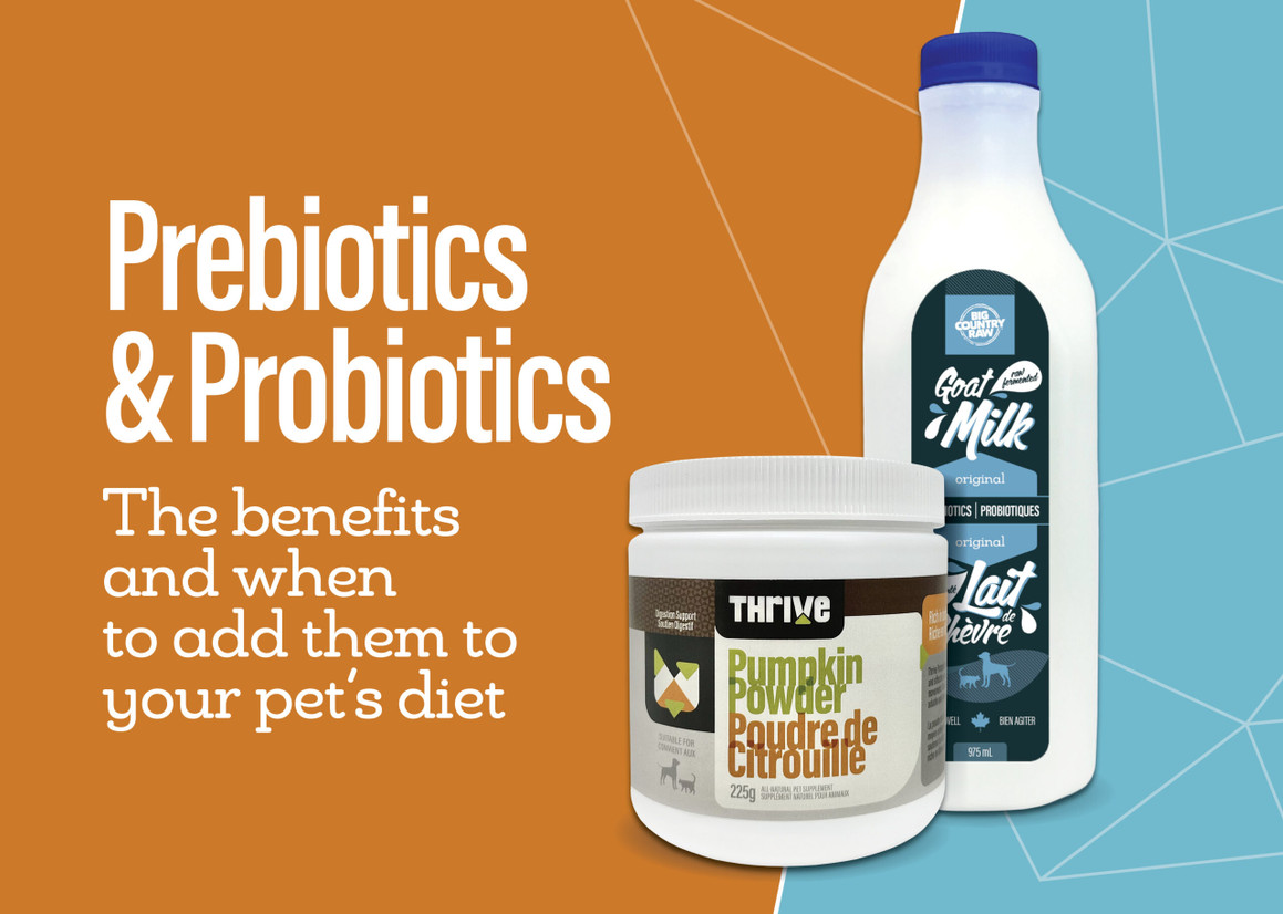 Understanding Prebiotics & Probiotics Understanding Prebiotics & Probiotics