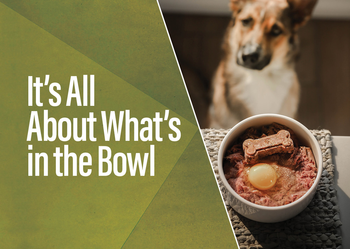 The Secret Behind Big Country Raw’s Recipe Formulation The Secret Behind Big Country Raw’s Recipe Formulation