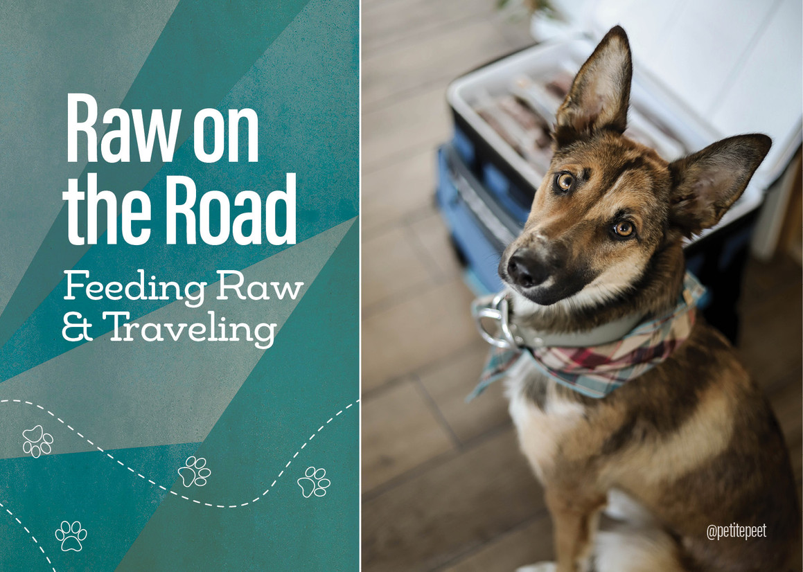 Raw on the Road - Feeding Raw & Traveling 