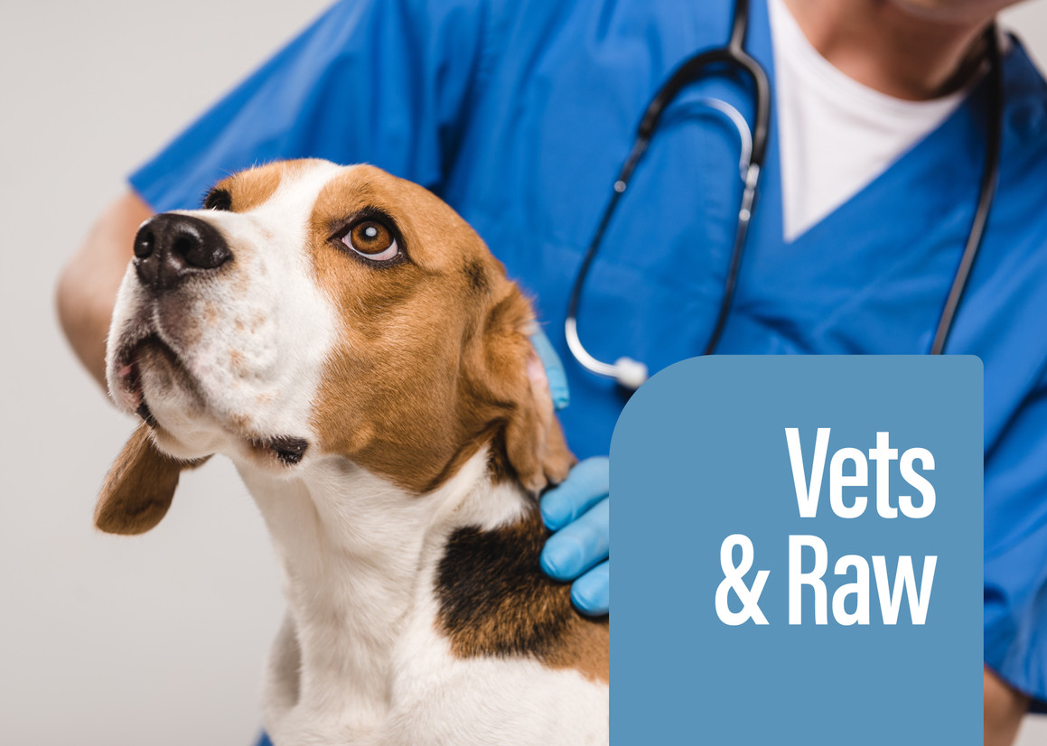 Talking About Raw to Veterinarians Talking About Raw to Veterinarians