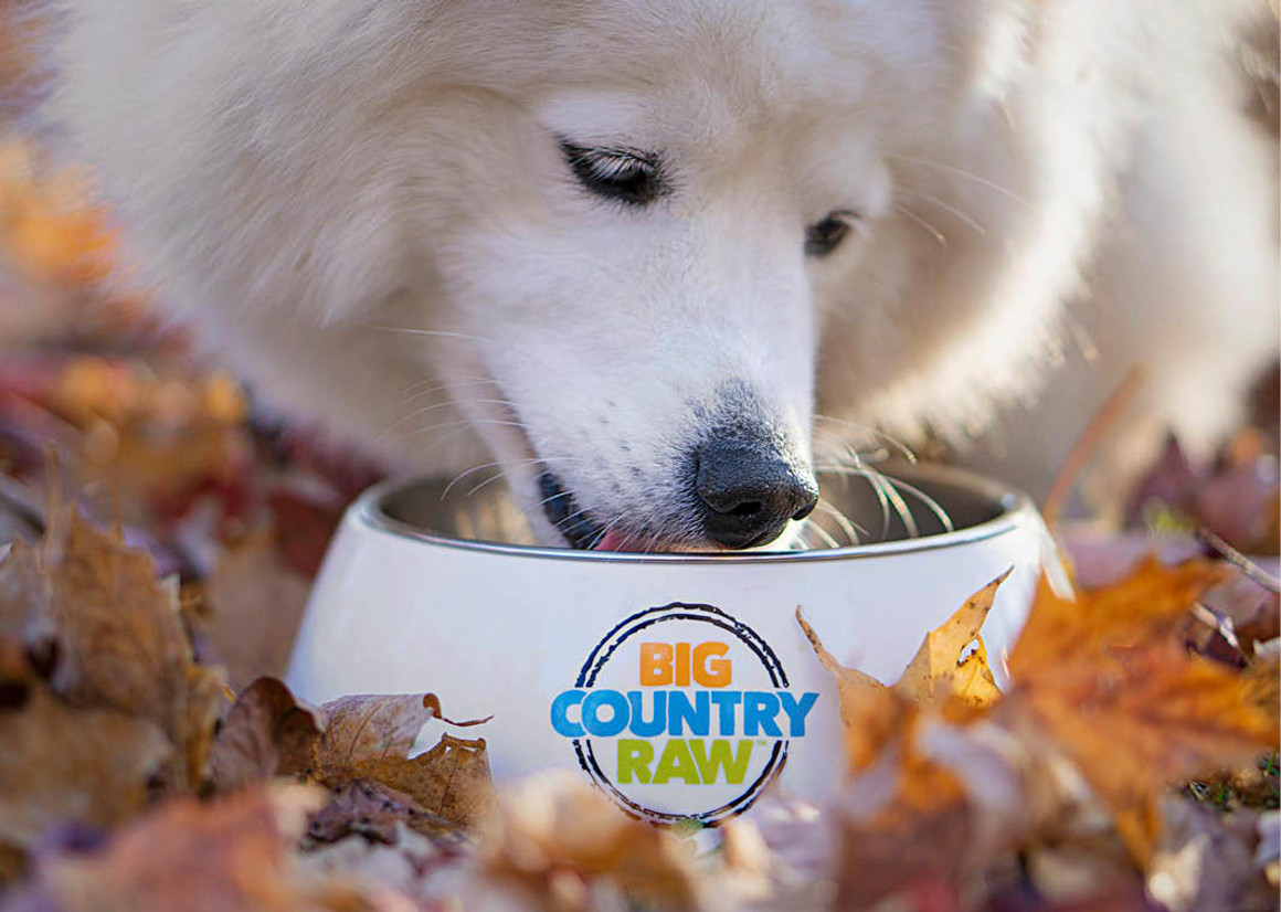 Who Makes Big Country Raw Recipes?