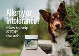 Allergy or Intolerance? How to help stop the itch.