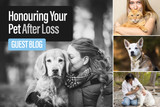 Honouring Your Pet After Loss