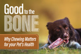 Good to the Bone: Why Chewing Matters for Your Pet’s Health