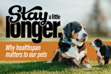 Stay a Little Longer: Why Healthspan Matters for Our Pets 