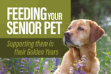 Feeding Your Senior Pet: Supporting them in their Golden Years