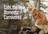 Cats, True Domestic Carnivores 
