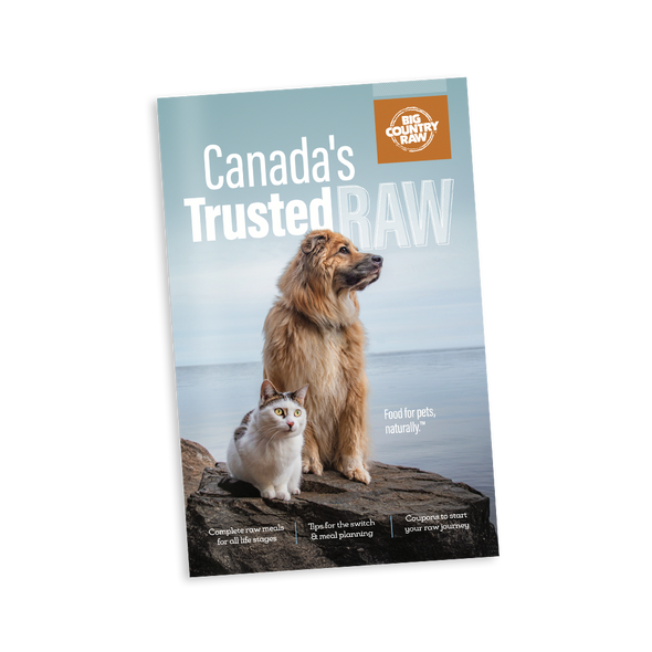 Big Country Raw Customer Brochures English - 20 pk