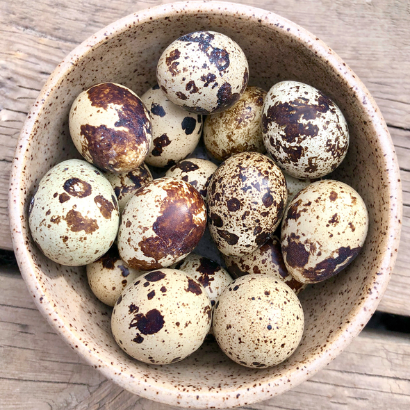 Quail Eggs in bowl