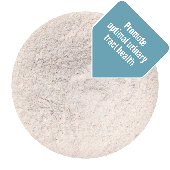 Thrive Bladder Support