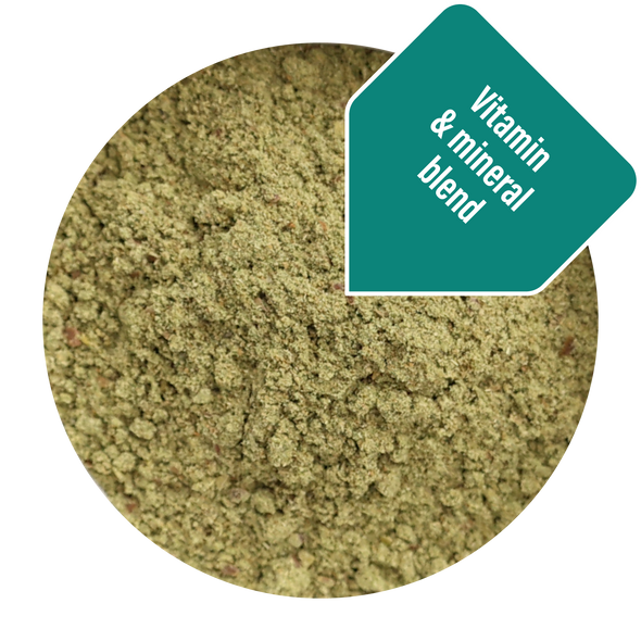 Thrive Fortify Fusion