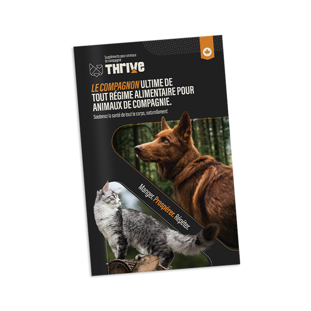Thrive Brochure French - 20 pk