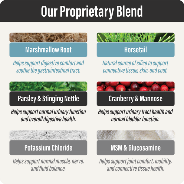 Thrive Bladder Support Ingredients