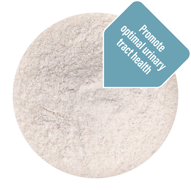 Thrive Bladder Support