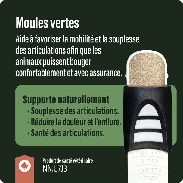 Thrive Green Lipped Mussels