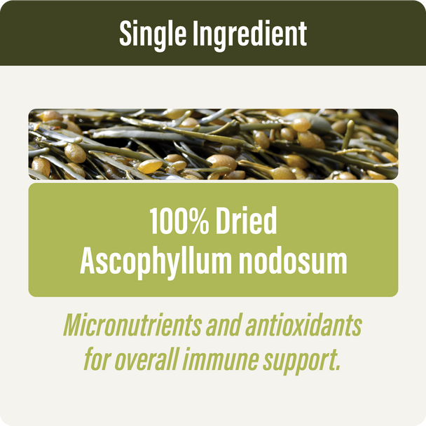 Thrive Sea Kelp Ingredients