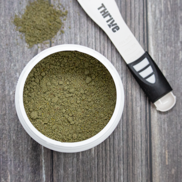 Thrive Pro-Gut Probiotics Fusion powder with scoop