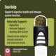 Thrive Sea Kelp