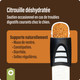 Thrive Dehydrated Pumpkin
