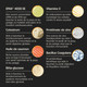 Thrive Shine Chews Ingredients