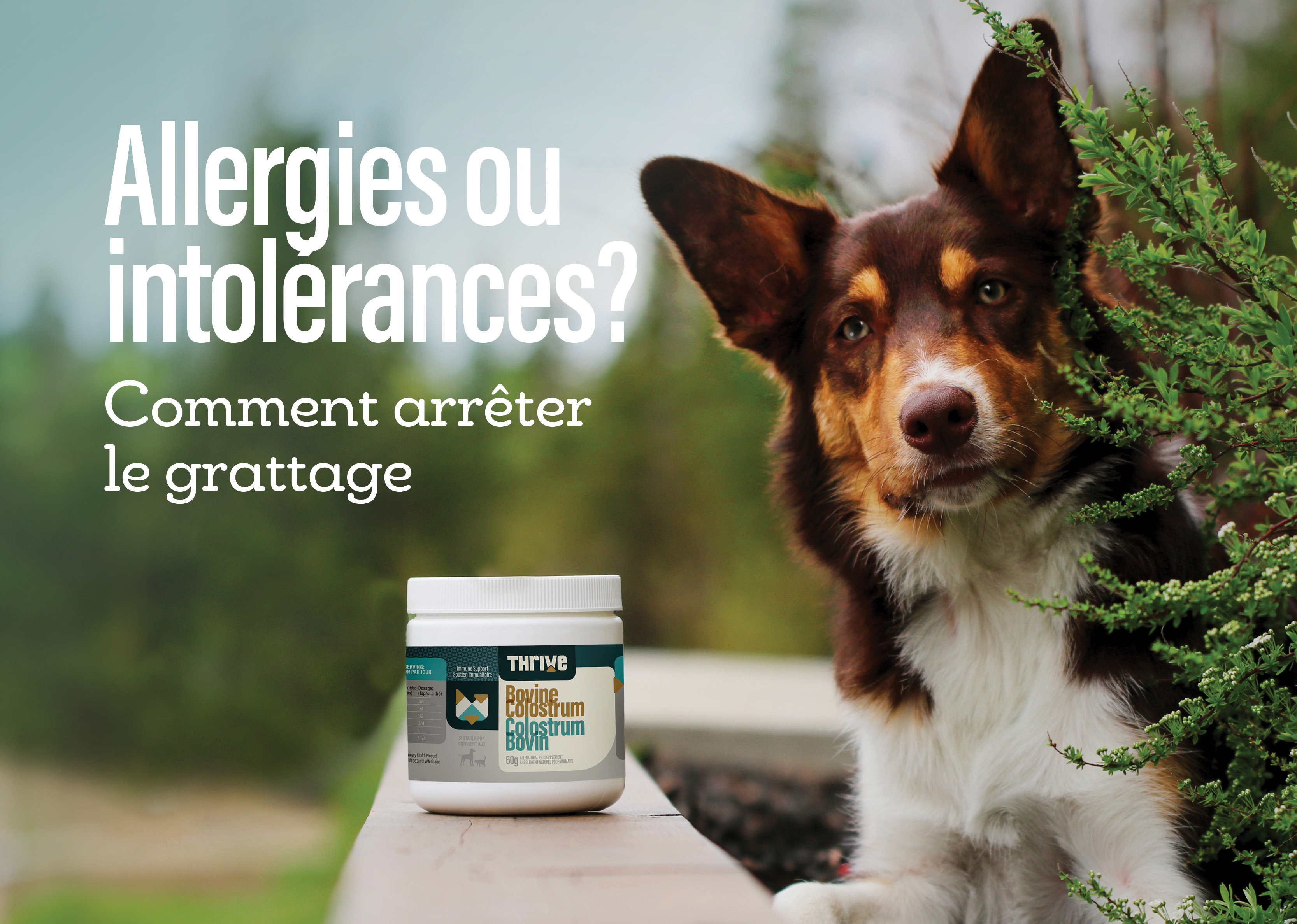 Allergie ou intolérance ? Allergie ou intolérance ?