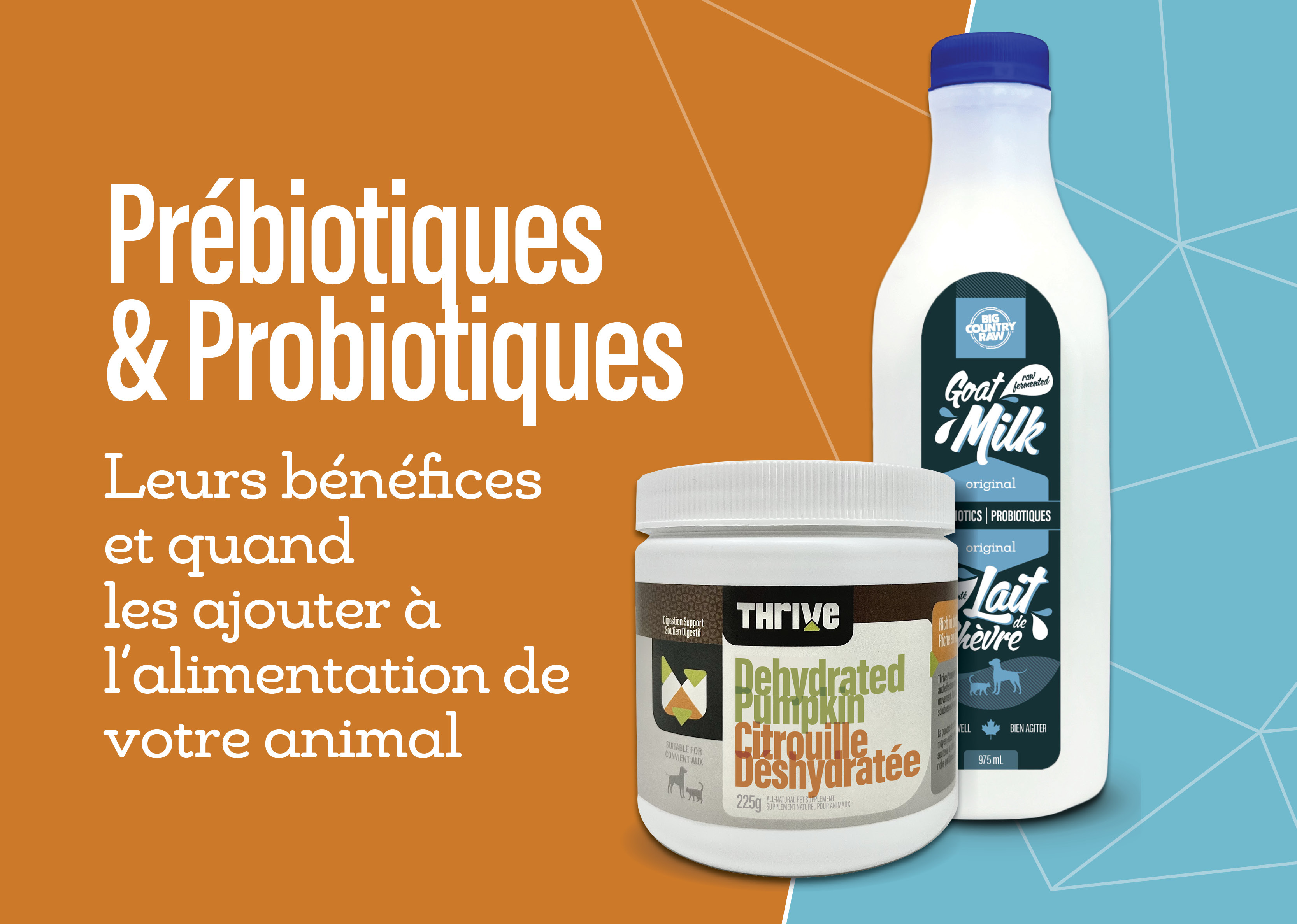 Comprendre les prébiotiques et les probiotiques Comprendre les prébiotiques et les probiotiques