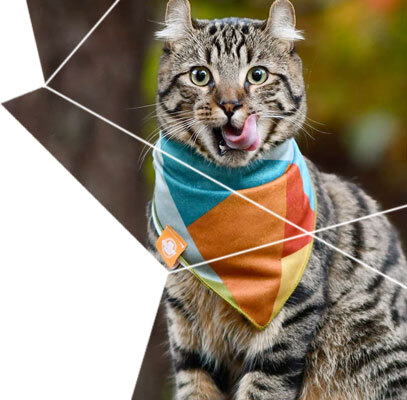 Alternative banner alt