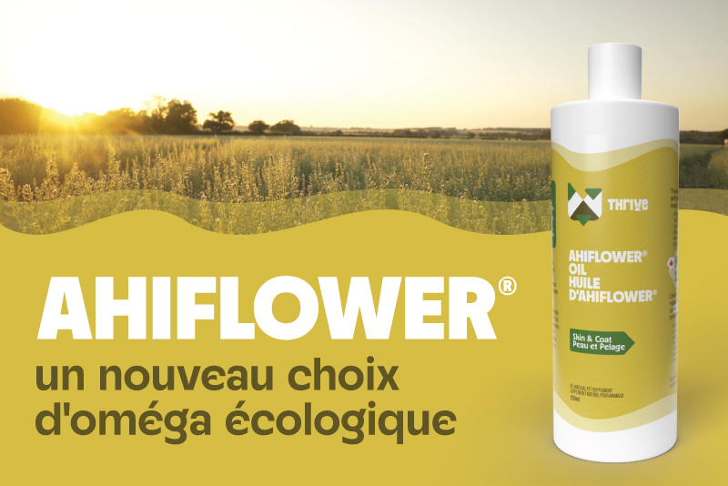 Ahiflower : un nouveau choix d'oméga respectueux de l'environnement Ahiflower : un nouveau choix d'oméga respectueux de l'environnement