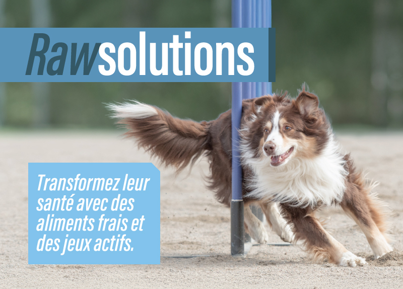 Les résolutions de la nouvelle année 