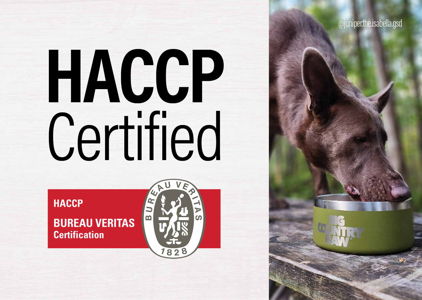 WHAT IS HACCP CERTIFIED visual data 5