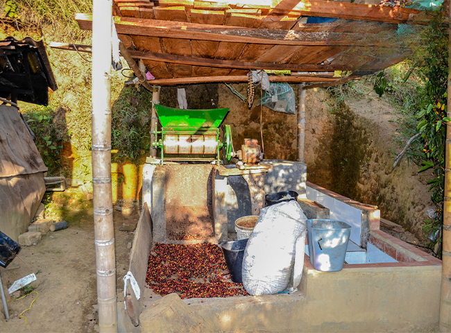 Finca