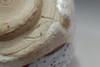 Kato Tokuro 'shino chawan' glazed tea bowl #3124