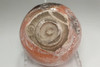 Raku 12th  Konyu 'houou (phoenix) aka-raku chawan' tea bowl #3233