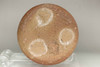 Koie Ryoji 'hanaire' shigaraki pottery flower vase #3337