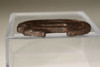 Tsuba - Antique Japanese inlaid samurai sword guard #3461