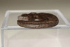 Tsuba - Antique Japanese inlaid samurai sword guard #3461
