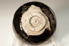 Raku 9th Ryonyu (1756-1834) black tea bowl #3466 Raku 9th Ryonyu (1756-1834) black tea bowl #3466