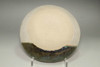 Kitaoji Rosanjin (1883-1959) Pottery plate in oribe ware #3780