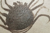 Kitaoji Rosanjin (1883-1959) Pottery plate in oribe ware #3780