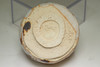 Kato Tokuro (1896-1985) Vintage shino ware cup #4008