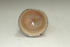 Aoki Mokubei (1767-1833) Antique pottery cup #4410