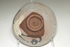 Aoki Mokubei (1767-1833) Antique pottery bowl #4476